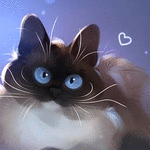 99px.ru аватар Голубоглазый котенок, by Apofiss