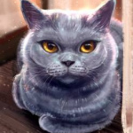 99px.ru аватар Милый котик с желтыми глазами, by 1NFIN1TY