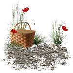 Аватар Лягушка на мотороллере, by KmyGraphic