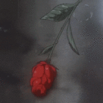 99px.ru аватар Бутон красной розы под дождем