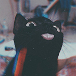Аватар Черный кот показывает язык