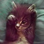 Аватар Милый котенок, by ElenaDudina