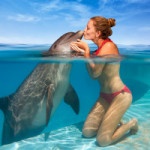 99px.ru аватар Девушка целует дельфина, высунувшего морду из воды