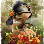 Аватар Котенок в колпаке сидит у тыквы, by Kajenna