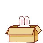 99px.ru аватар Кролик появляется из коробки