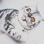 99px.ru аватар Полосатый кот высунул язык