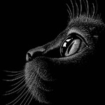 99px.ru аватар Мордочка кота в профиль