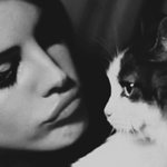 Аватар Лана Дель Рей / Lana Del Rey целует кота