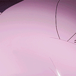 99px.ru аватар Цубаса Ханэкава / Tsubasa Hanekawa из аниме Истории монстров / Bakemonogatari