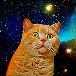 99px.ru аватар Рыжий шокированный кот в космосе