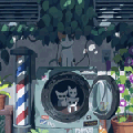 99px.ru аватар Семейство кошачьих в стиральной машинке