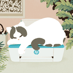 99px.ru аватар Кошка спит на принтере