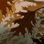 99px.ru аватар Ветер срывает с ветки листок