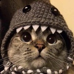 Аватар Кот в сером вязаном костюме акулы с белыми зубами, на светлом фоне