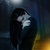 Аватар пользователя sad_girl