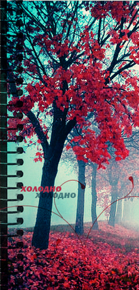 Аватар вконтакте Холодно, осень, аллея. красные деревья