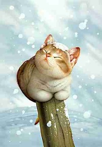 99px.ru аватар Котик и падающий снег