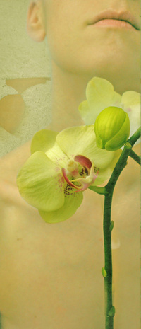 Аватар вконтакте Девушка с орхидеями