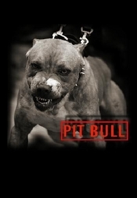 99px.ru аватар Pit bull