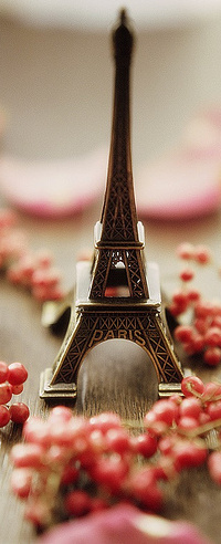 Аватар вконтакте paris