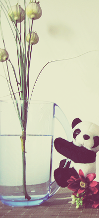 99px.ru аватар панда