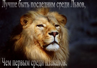 Аватар вконтакте Лучше быть последним среди львов, чем первым среди шакалов