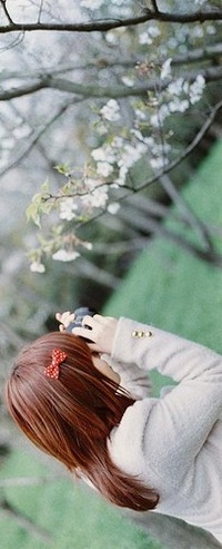 Аватар вконтакте Девушка фотографирует цветущее дерево