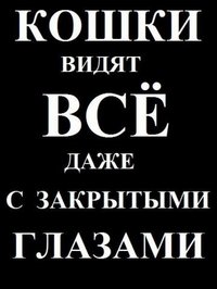 Аватар вконтакте Кошки видят всё даже с закрытыми глазами