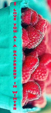 Аватар вконтакте Бирюзовая форма с малиной ('I love you as a raspberry in winter / 'Я люблю тебя, как малину зимой')