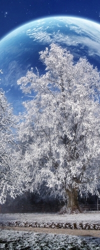 Фото Зима Вк