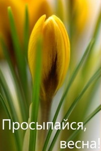Аватар вконтакте Просыпайся, весна!