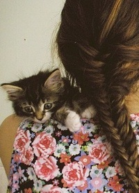 99px.ru аватар Девушка с котенком на шее