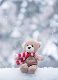 99px.ru аватар Плюшевый мишка под снегом