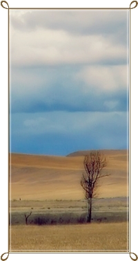 99px.ru аватар Одинокое дерево в степи