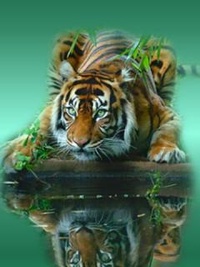 99px.ru аватар Тигр притаился у озера
