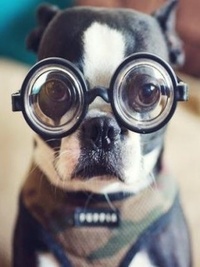 99px.ru аватар Умная собака в очках