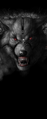 99px.ru аватар Хозяин ночи чёрный волк