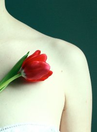 Аватар вконтакте Девушка и красный тюльпан