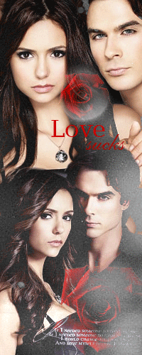 Аватар вконтакте Дэймон и Елена, сериал 'Дневники вампира' ('Love sucks')
