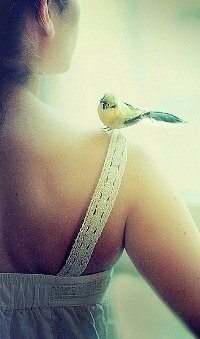 99px.ru аватар Девушка с птицей на плече