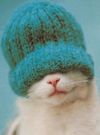 Аватар вконтакте Котэ с шапкой на глазах
