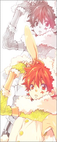 99px.ru аватар Sawada Tsunayoshi / Савада Тсунаёши из аниме Репетитор-киллер Реборн / Katekyo Hitman Reborn в костюме кролика