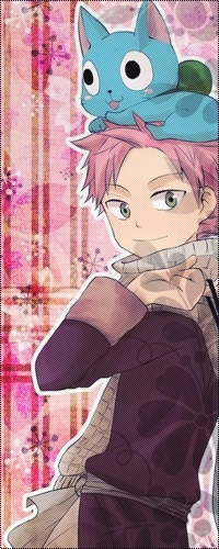Аватар вконтакте Happy / Хэппи сидит на голове у Нацу / Natsu, аниме «Хвост Феи / Fairy Tail»