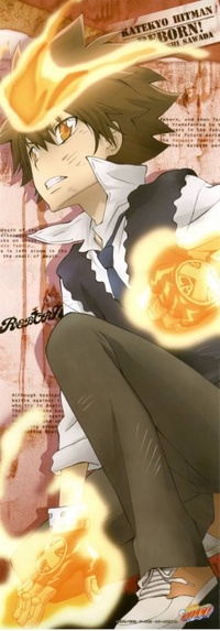 Аватар вконтакте Тсунаёши Савада (Тсуна) / Sawada Tsunayoshi (Tsuna) из аниме Katekyo Hitman Reborn / Репетитор-киллер Реборн среди языков пламени смотрит вдаль 