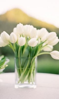 99px.ru аватар Букет белых тюльпанов в вазе