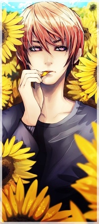 Аватар вконтакте Yagami Light / Лайт Ягами из аниме Тетрадь Смерти / Death Note в окружении подсолнухов ест лепесток подсолнуха, art / арт