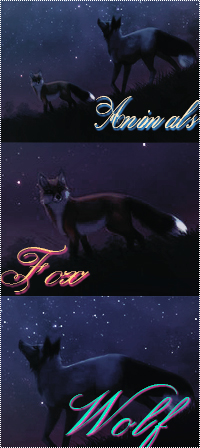 Аватар вконтакте Лис и волк на фоне звездного неба (Animals Fox Wolf)