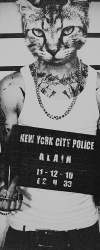 99px.ru аватар Парень с головой кота держит черную табличку с надписью и показывает средний палец (New York City Police ALAIN 11-12-10 E2 U 33)