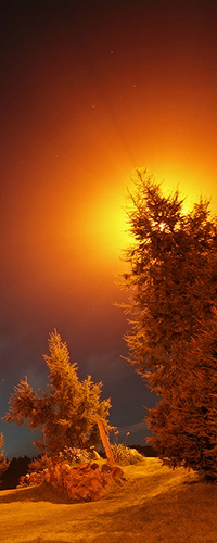 99px.ru аватар Необычное яркое солнечное свечение ночью, осветившее своими лучами заснеженную поляну с густыми еловыми деревьями, фотограф Yuri Ovchinnikov