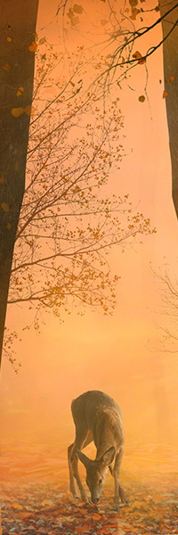 99px.ru аватар Олененок, ищущий корм среди осенних листьев на фоне туманной дымки, закрывшей лесной массив